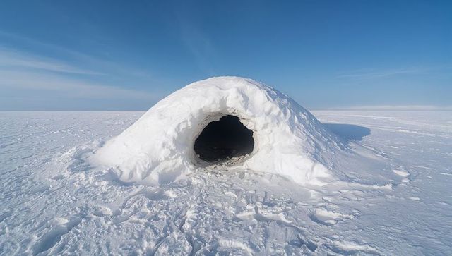 Solitary domed igloo casting shadow on arctic snowfield under clear blue sky