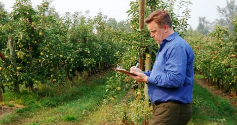 Agricultural expert inspecting orchard with clipboard