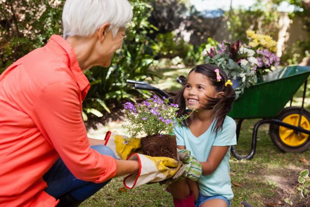 Grandmother and child gardening together in backyard. The elderly woman is handing a flowering plant to smiling girl. Ideal for use in articles about family bonding, intergenerational activities, gardening with kids, and outdoor recreation.