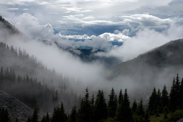 A captivating scene of mountains shrouded in thick mist and dense evergreen forest under a dramatic cloudy sky. Ideal for nature-themed projects, travel websites, wallpaper backgrounds, documentaries about the wilderness, and promoting outdoor activities.