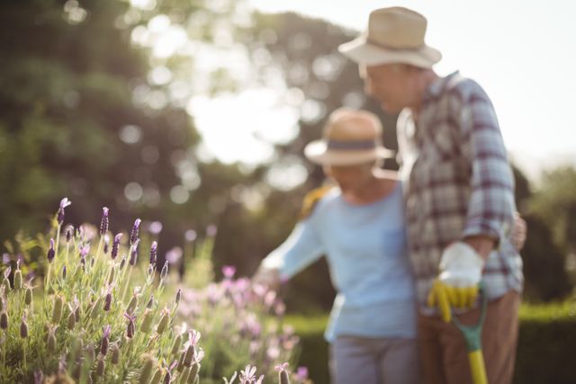 Senior couple enjoying gardening together in a blooming garden with purple flowers. Ideal for use in articles or advertisements about healthy lifestyles, retirement activities, gardening tips, and senior living. Perfect for illustrating themes of love, togetherness, and outdoor hobbies.