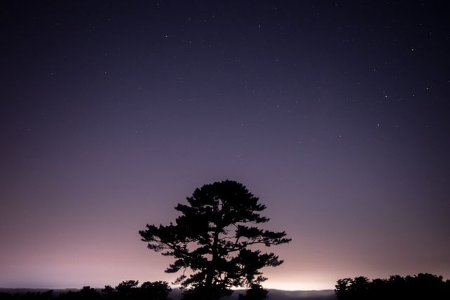 Silhouette of a lone tree standing under a starry night sky with a faint light on the horizon. Ideal for use in projects related to tranquility, nature, or outdoor activities. Perfect as a background for quotes, websites, or nature-themed presentations.