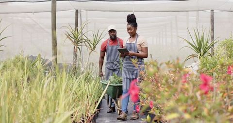 Co-workers collaborating in plant nursery with wheelbarrow and tablet