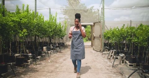 Horticulturist inspecting saplings in shade house