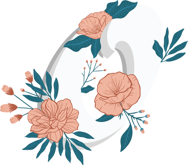 Floral Wreath with Minimalist White Design on Transparent Background - Download Free Stock Videos Pikwizard.com