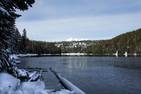 Snow-Covered Mountain Lake with Pine Forest, Frozen Shoreline and Serene Winter Landscape