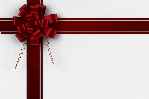 Transparent Red Christmas Bow and Ribbon Arrangement