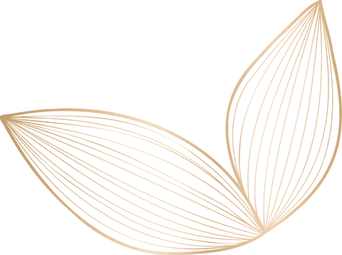 Elegant gold leaf motifs on transparent background