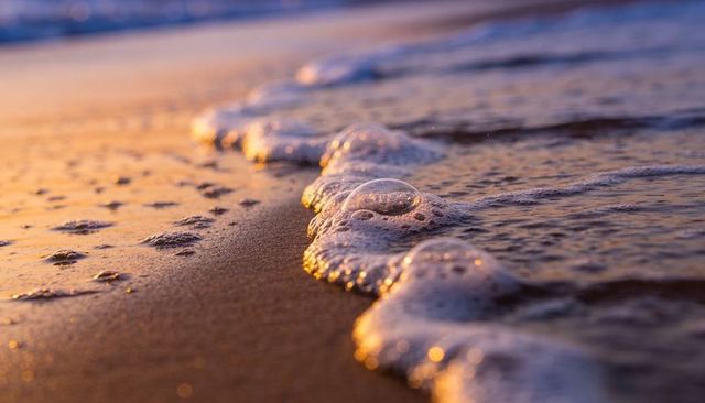 Foamy wave lapping wet sandy shoreline at golden sunset close-up with reflective bubbles