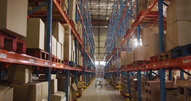Empty warehouse with multiple boxes on shelfs with ladder on floor. global business, shipping and delivery.