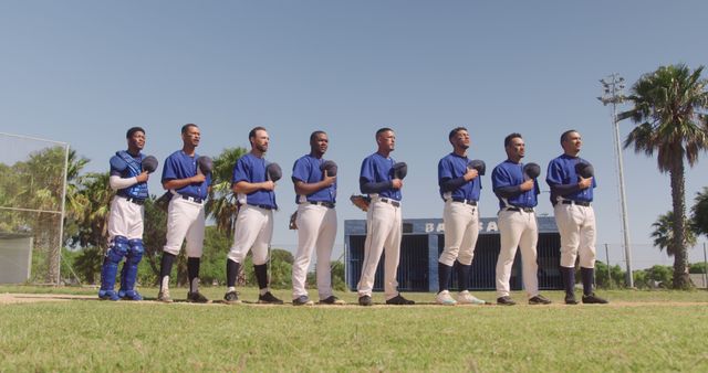 A group of diverse male baseball players standing side by side on a baseball field, each holding their baseball gloves to the chest and looking forward. All team members are wearing blue jerseys and white pants, suggesting teamwork, unity, and readiness for a game. This image can be used for promoting team sports, athletics, sportsmanship, and unity in sports communities.