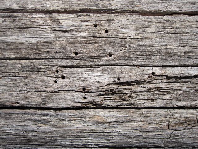 Rustic Aged Wooden Plank with Natural Weathered Texture - Download Free Stock Photos Pikwizard.com