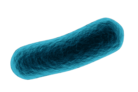 Transparent Blue Bacteria Cell Microbiology Illustration - Download Free Stock Videos Pikwizard.com