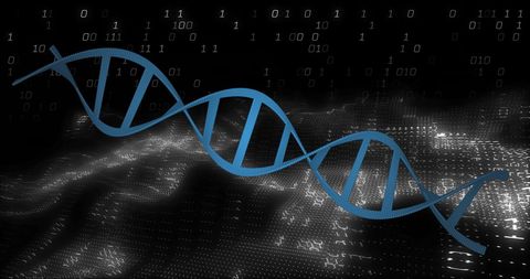 DNA strand laid over binary code suggesting integration of genetics and digital technology. Suitable for articles and presentations on bioinformatics, genetic data analysis, and biotechnology innovations.