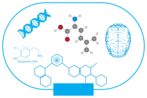 science icons with brain and molecules on transparent background - Download Free Stock Videos Pikwizard.com