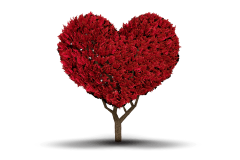 heart shaped tree illustration on transparent background - Download Free Stock Videos Pikwizard.com