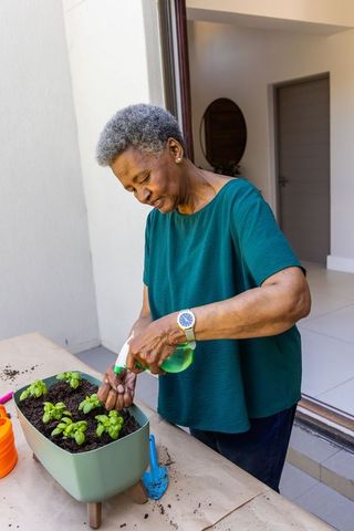 Senior woman tending herb planter on patio, misting seedlings with spray bottle