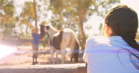 Teen girl leaning on rail watching pinto horse and handler in sunlit rustic paddock