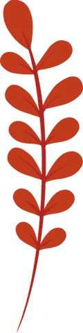 Botanical red branch with transparent background and oval leaves