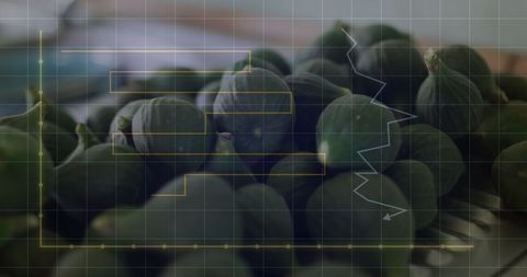 Enhanced Digital Overlay on Fresh Vegetables Illustrating Market Trends - Download Free Stock Images Pikwizard.com