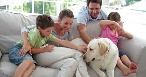 Family spending quality time on couch with dog in bright living room evokes warmth and happiness. Ideal for themes of family life, pet companionship, and cheerful home environments. Great for advertisements promoting family products, pet care, or cozy home decor.