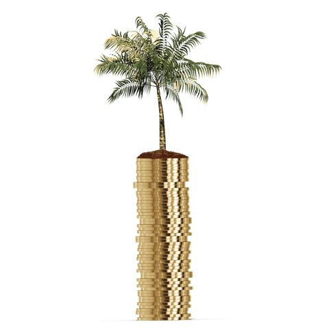 transparent palm tree on stack of coins illustrates finance and nature - Download Free Stock Videos Pikwizard.com