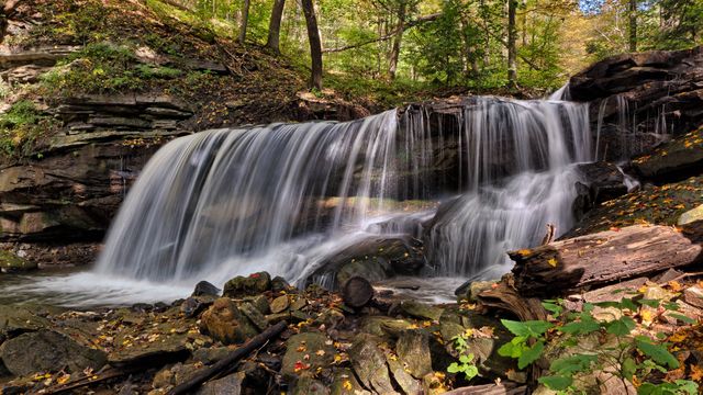 Serene Waterfall Cascading in a Forest - Download Free Stock Photos Pikwizard.com