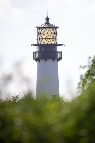 Historic lighthouse crowning coastal beauty amid lush foliage