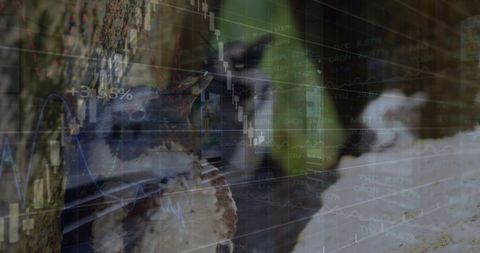 Financial data over business professionals in office concept