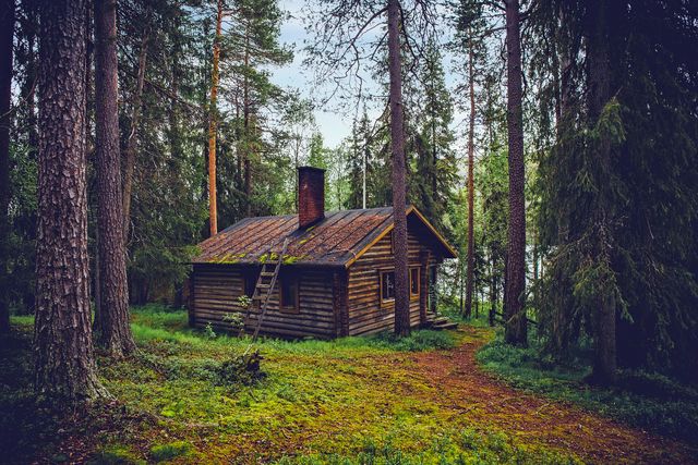House Amidst Trees in Forest - Download Free Stock Photos Pikwizard.com