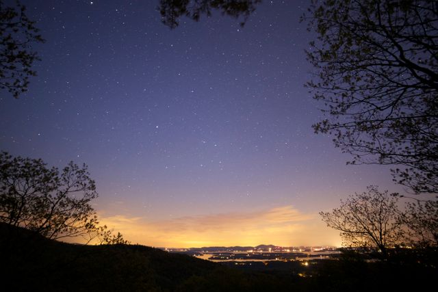Capturing a stunning night sky filled with stars above a distant city illuminated in twilight. Silhouetted trees frame the scene, offering a serene and captivating natural landscape. Ideal for use in travel promotions, nature documentaries, or inspirational content about the beauty of the natural world.