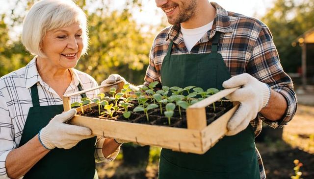 Intergenerational gardeners holding wooden tray of seedlings during golden hour