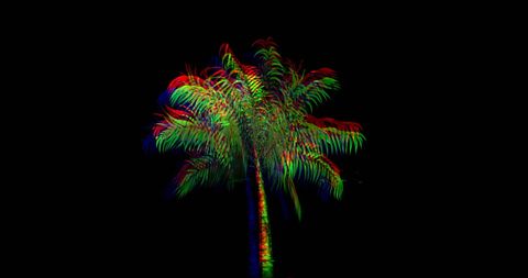 Vibrant digital palm tree against black backdrop