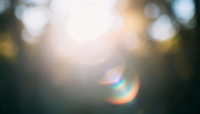 Overexposed sunlight creating rainbow lens flare and dreamy bokeh through forest canopy