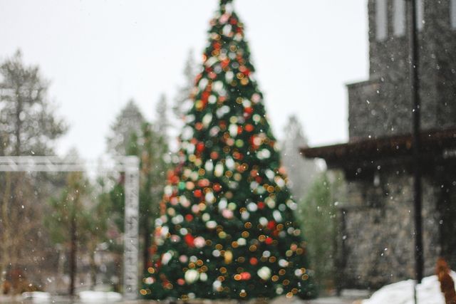 Blurry Christmas tree adorned with ornaments and lights set against a snowy background. Ideal for holiday-themed content, winter and Christmas greetings, festive advertisements, and seasonal blog posts.