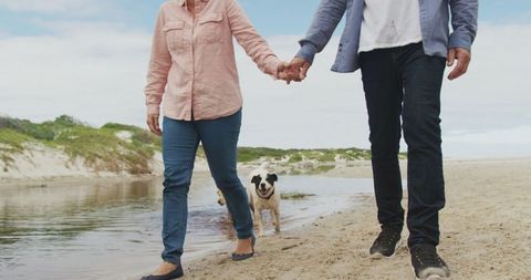 Senior Couple Walking Hand in Hand on Beach with Dog