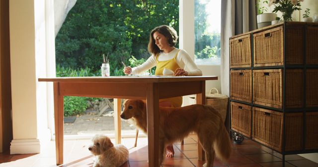 Young woman working at wooden desk with two dogs nearby in sunlit room with large windows. Ideal for concepts related to remote work, pet-friendly home environments, productivity, and modern lifestyle. Suitable for blogs, websites, and social media promoting work-from-home setups, pet care, and home decor.