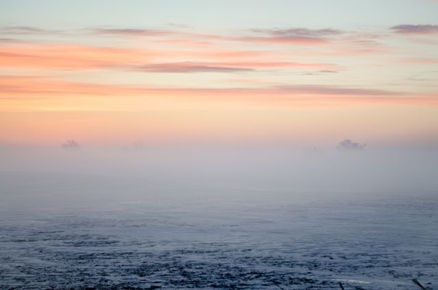 This image captures an Arctic misty morning with a serene frozen landscape and a pastel-colored sky at dawn. Ideal for use in environmental presentations, travel blogs, and winter-themed marketing campaigns to convey tranquility and the beauty of nature.