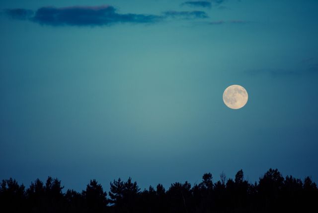 Full Moon Rising Over Forest Trees at Twilight - Download Free Stock Photos Pikwizard.com