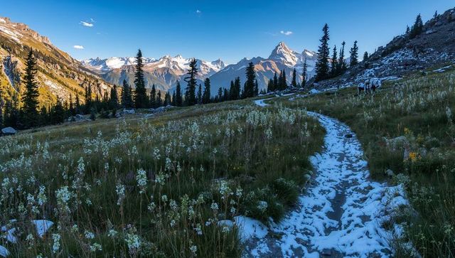 Snow-dusted alpine trail winding through wildflower meadow toward jagged mountain peaks