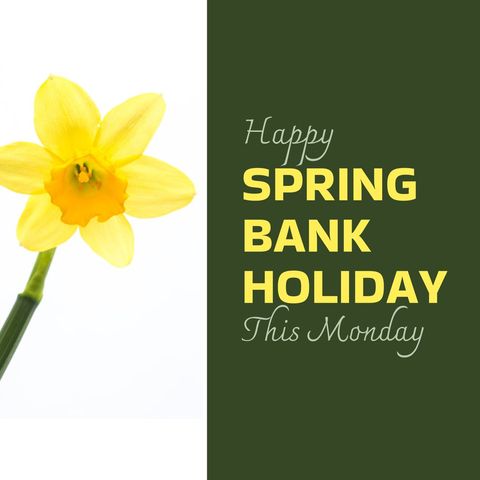 spring bank holiday graphic with bright yellow daffodil - Download Free Stock Templates Pikwizard.com