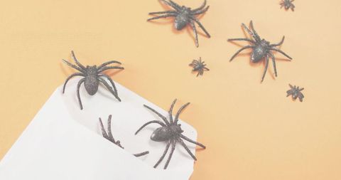 Envelope spilling black glitter spiders on peach background for halloween craft decor