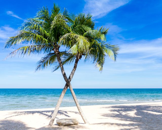 Tropical Beach with Two Coconut Palm Trees Crossed - Download Free Stock Photos Pikwizard.com