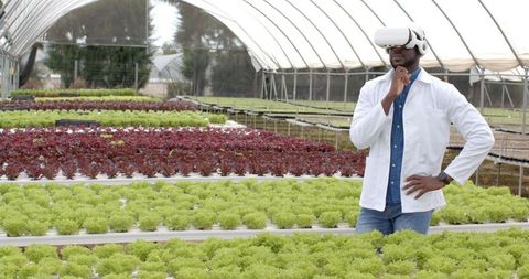 Innovative Farming: Man with VR Headset in Hydroponic Greenhouse
