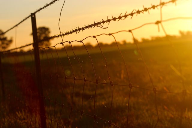 Barbed wire fence extending into distance with golden sunlight casting warm glow over rural landscape. Useful for themes like serenity, countryside living, rustic charm, security and nature backgrounds.