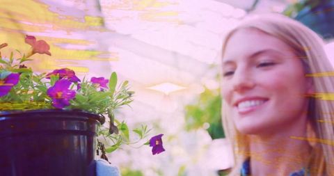 Smiling blonde woman leaning over petunias in greenhouse enjoying gardening with soft light