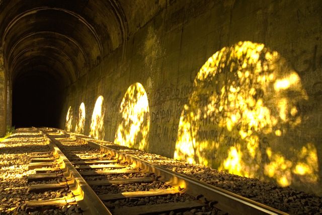 Photograph of a railway track passing through a tunnel. Sunlight filters through shadows, creating circular patterns on tunnel walls. Ideal for use in travel, transportation, and cat experience promotions.