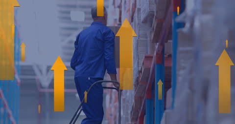 Worker Organizing Warehouse with Data Analytics Graphics