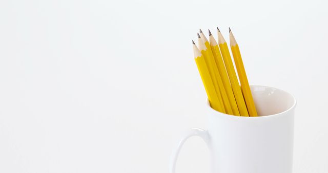 Yellow Pencils in White Mug Isolated on White Background - Download Free Stock Images Pikwizard.com