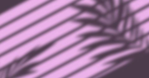 Window Blinds and Leaves Shadow Art on Pink - Download Free Stock Images Pikwizard.com